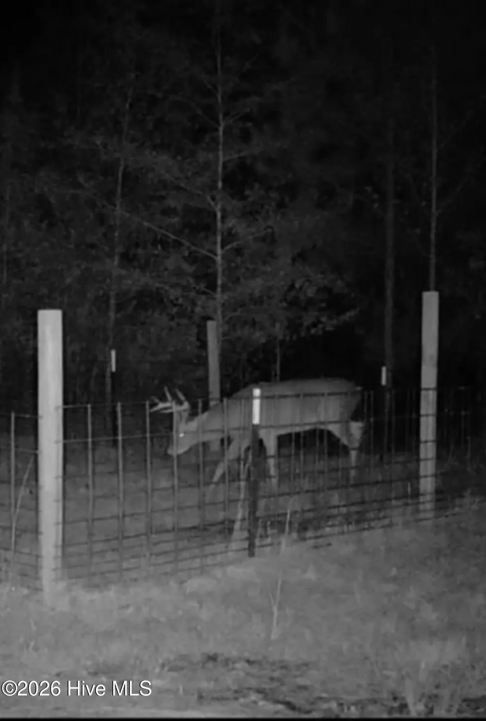 0 Indian Woods Road Windsor, NC 27983