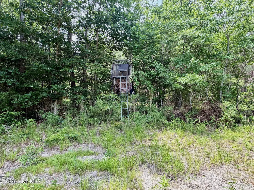 0 Indian Woods Road Windsor, NC 27983