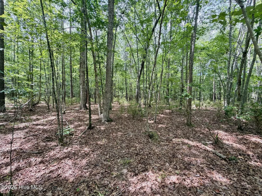 0 Indian Woods Road Windsor, NC 27983