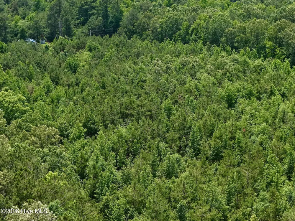 0 Indian Woods Road Windsor, NC 27983