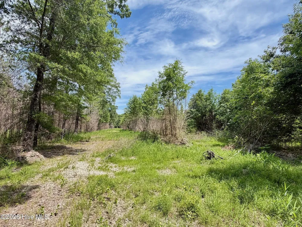 0 Indian Woods Road Windsor, NC 27983