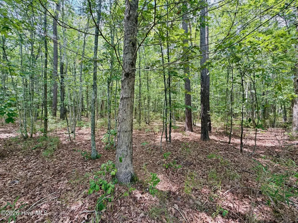0 Indian Woods Road Windsor, NC 27983