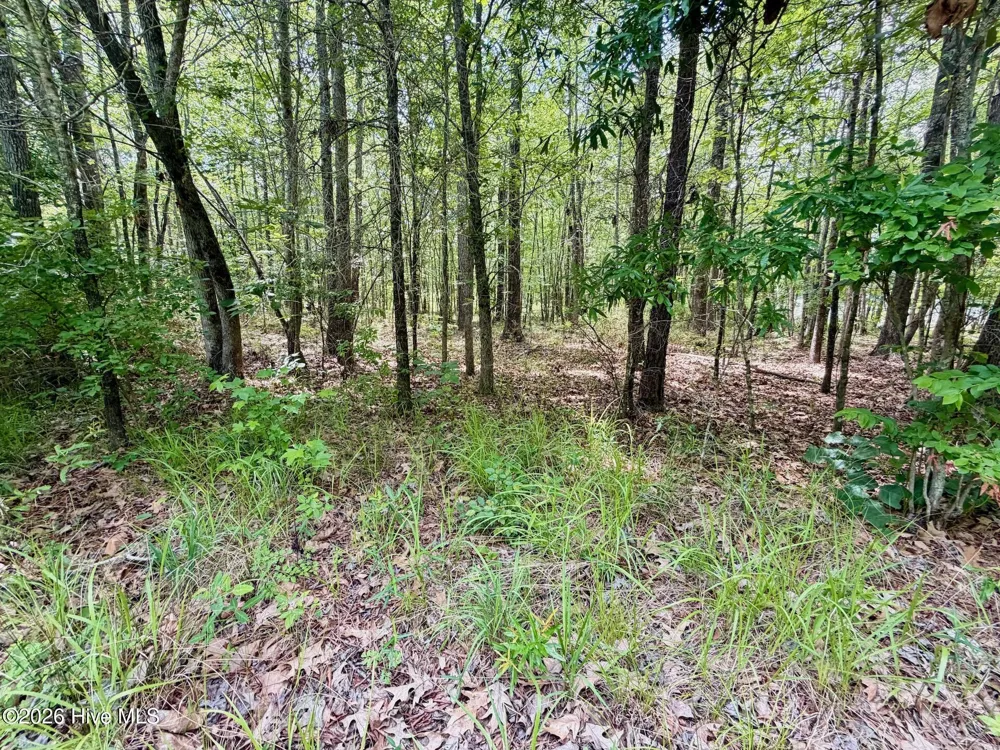 0 Indian Woods Road Windsor, NC 27983