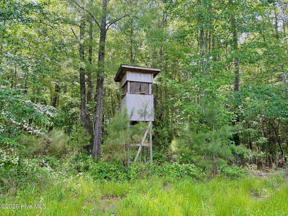 0 Indian Woods Road Windsor, NC 27983