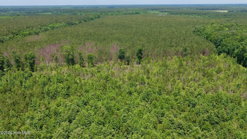 0 Indian Woods Road Windsor, NC 27983