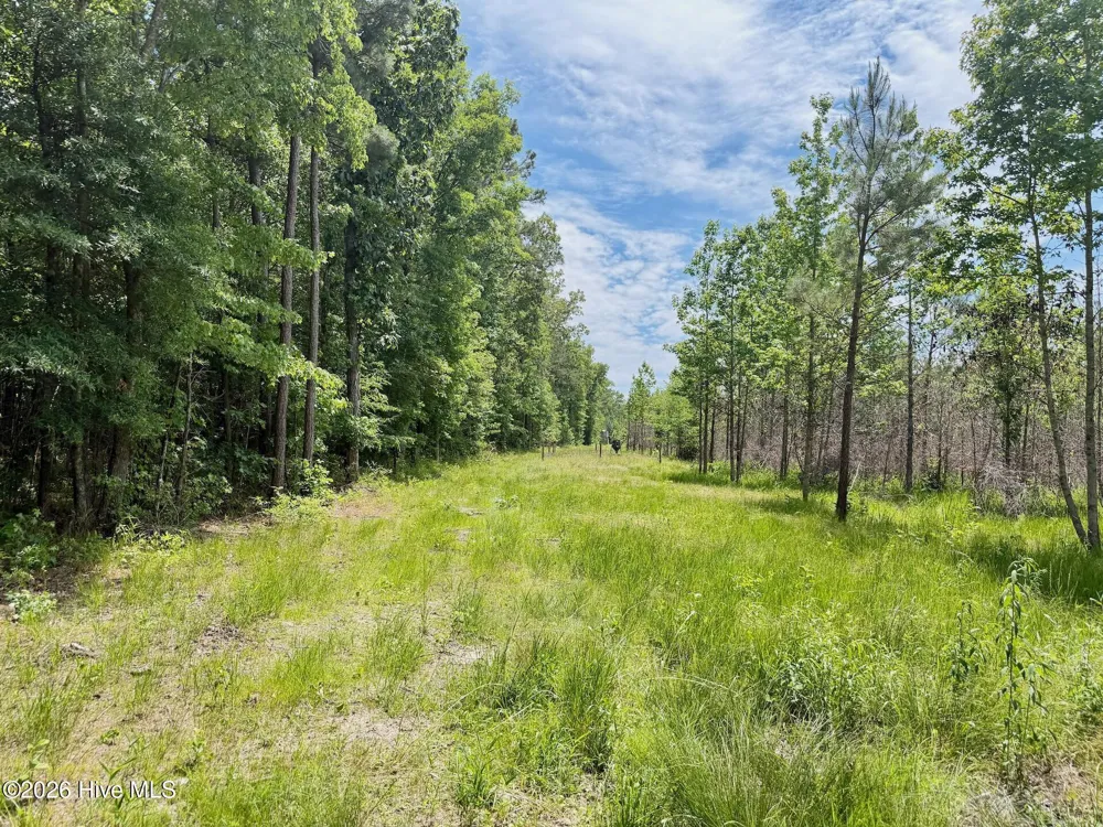 0 Indian Woods Road Windsor, NC 27983