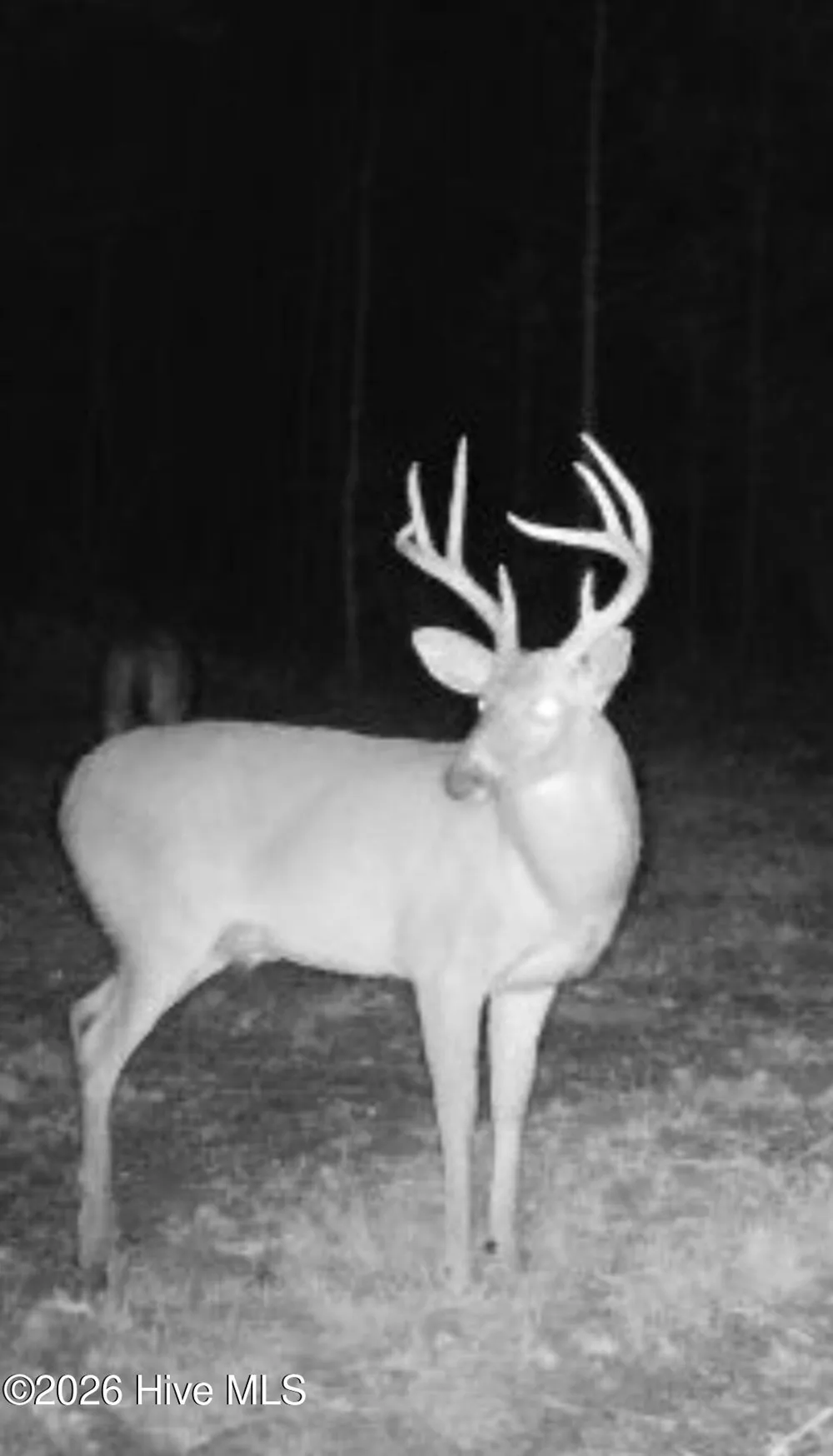 0 Indian Woods Road Windsor, NC 27983
