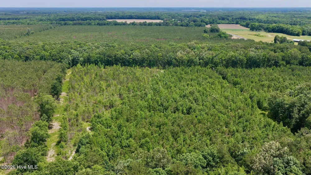 0 Indian Woods Road Windsor, NC 27983