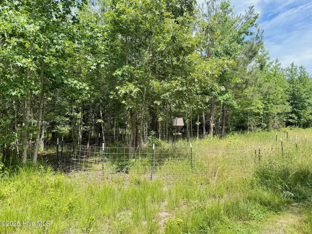 0 Indian Woods Road Windsor, NC 27983