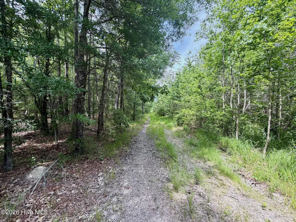 0 Indian Woods Road Windsor, NC 27983