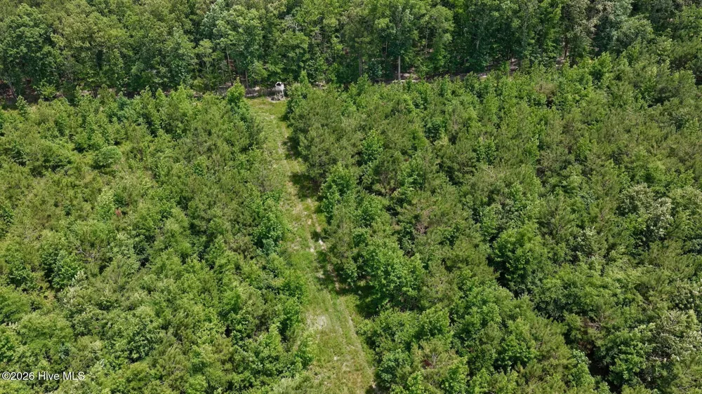 0 Indian Woods Road Windsor, NC 27983