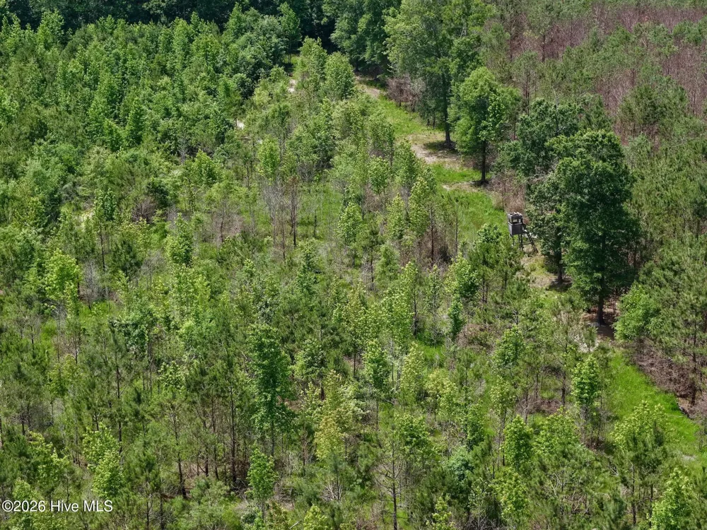 0 Indian Woods Road Windsor, NC 27983