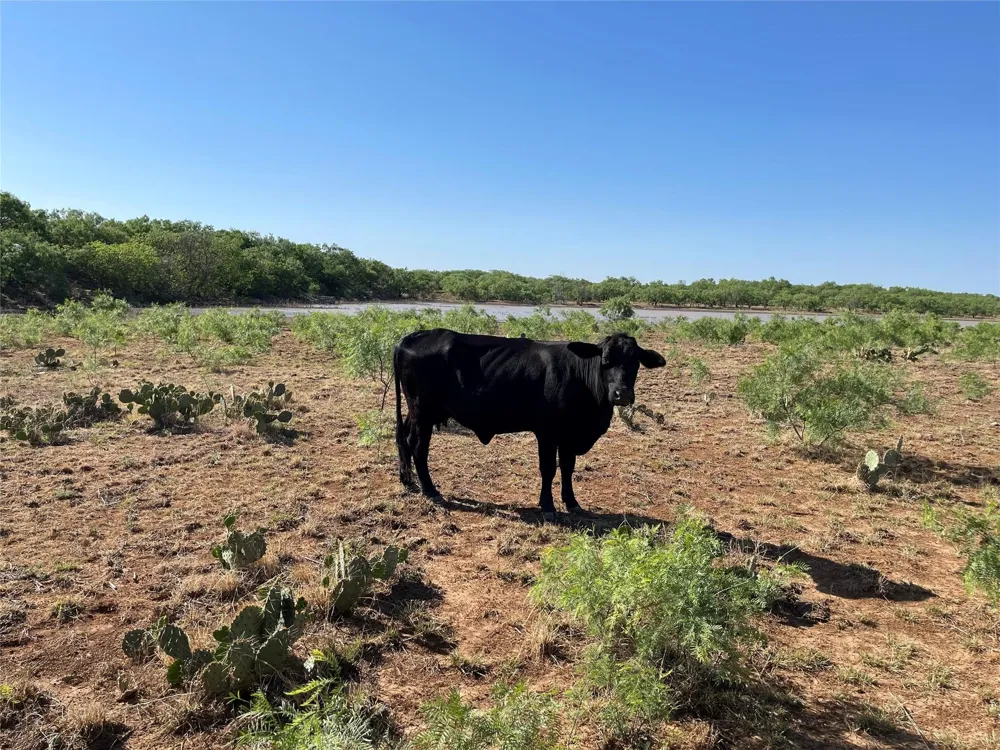 County Road 346 #211ac Gouldbusk, TX 76845