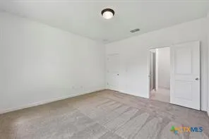 310 Romans Road Kyle, TX 78640