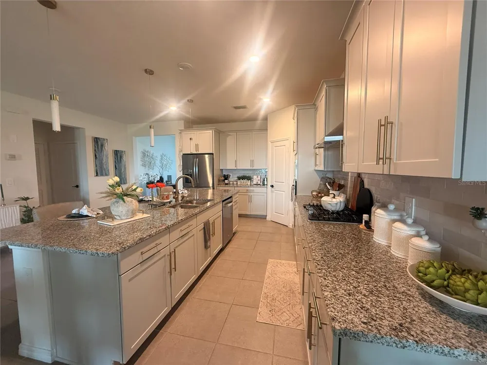 988 VINEYARD RIDGE ROAD Minneola, FL 34715
