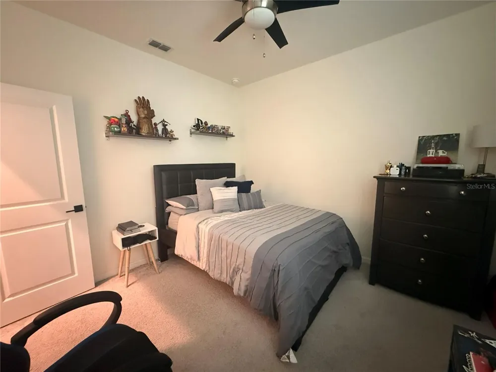 988 VINEYARD RIDGE ROAD Minneola, FL 34715