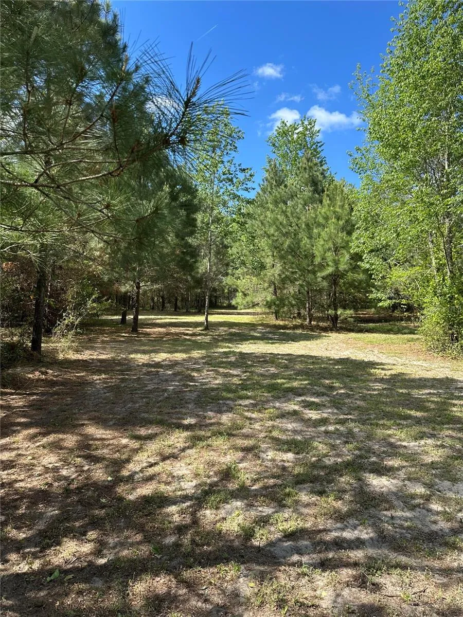 1449 SE OCTOBER ROAD Lake City, FL 32025