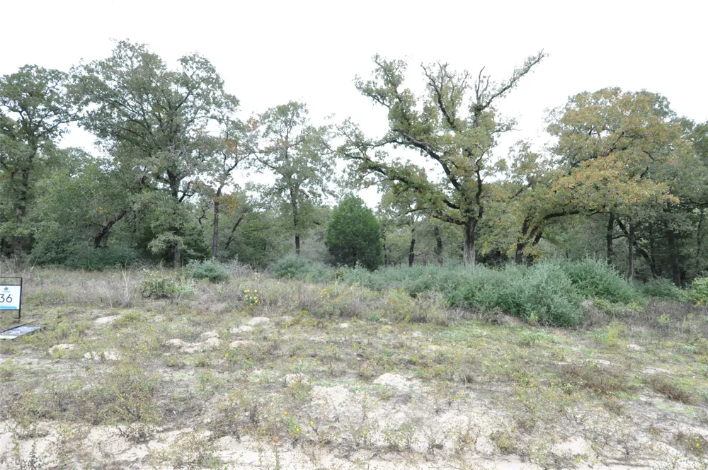 OakView Lane Thrall, TX 76578