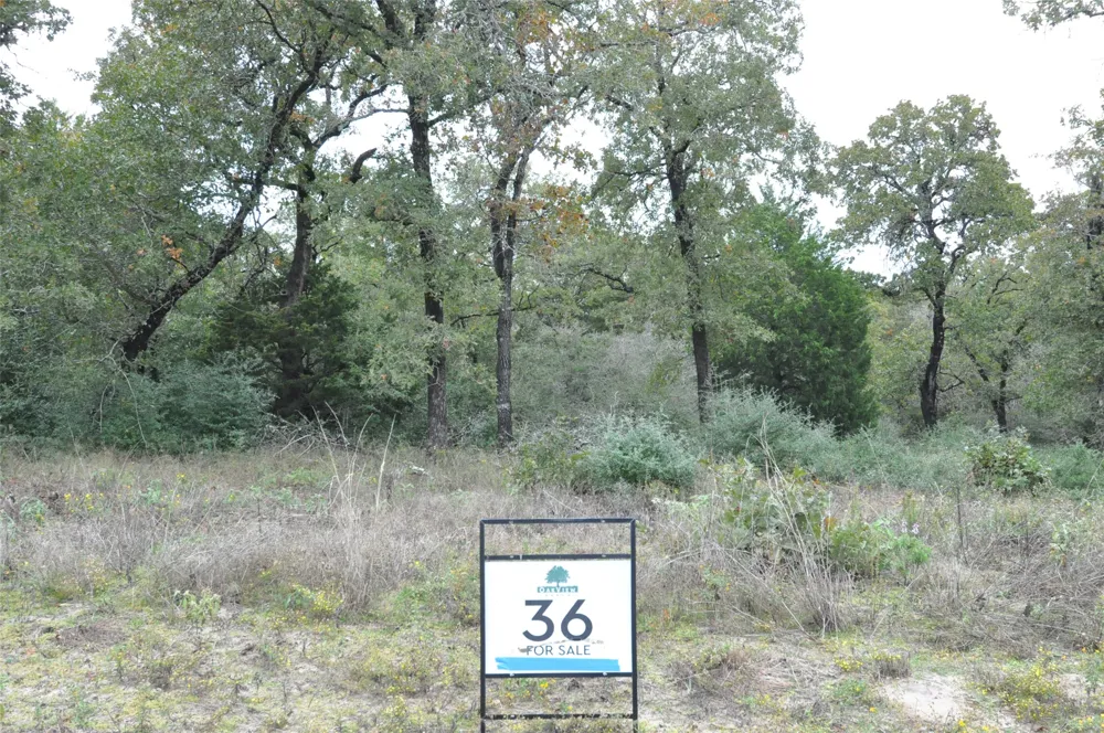 OakView Lane Thrall, TX 76578