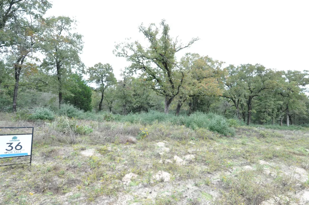 OakView Lane Thrall, TX 76578