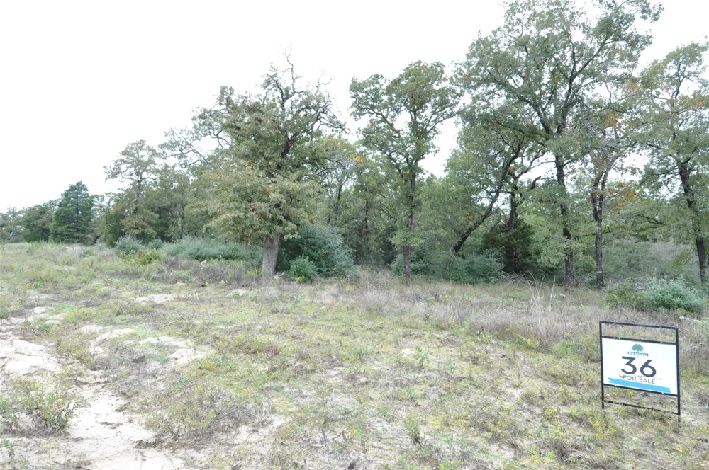 OakView Lane Thrall, TX 76578