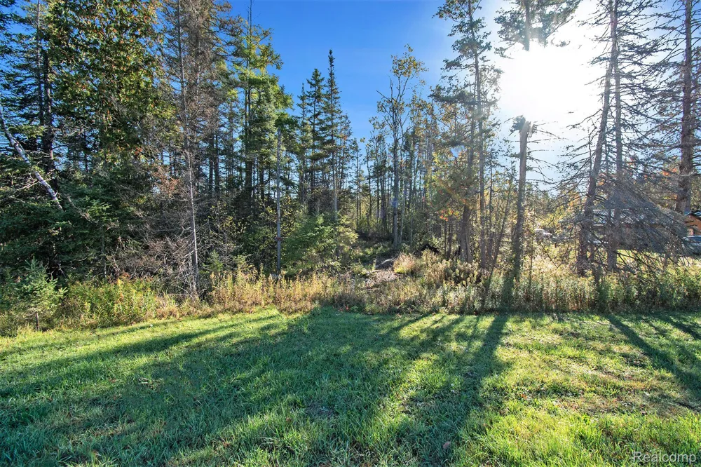 9191 M 33 Avery Township, MI 49709