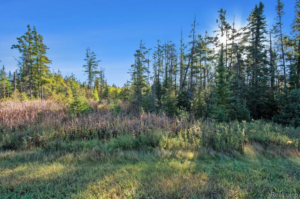 9191 M 33 Avery Township, MI 49709