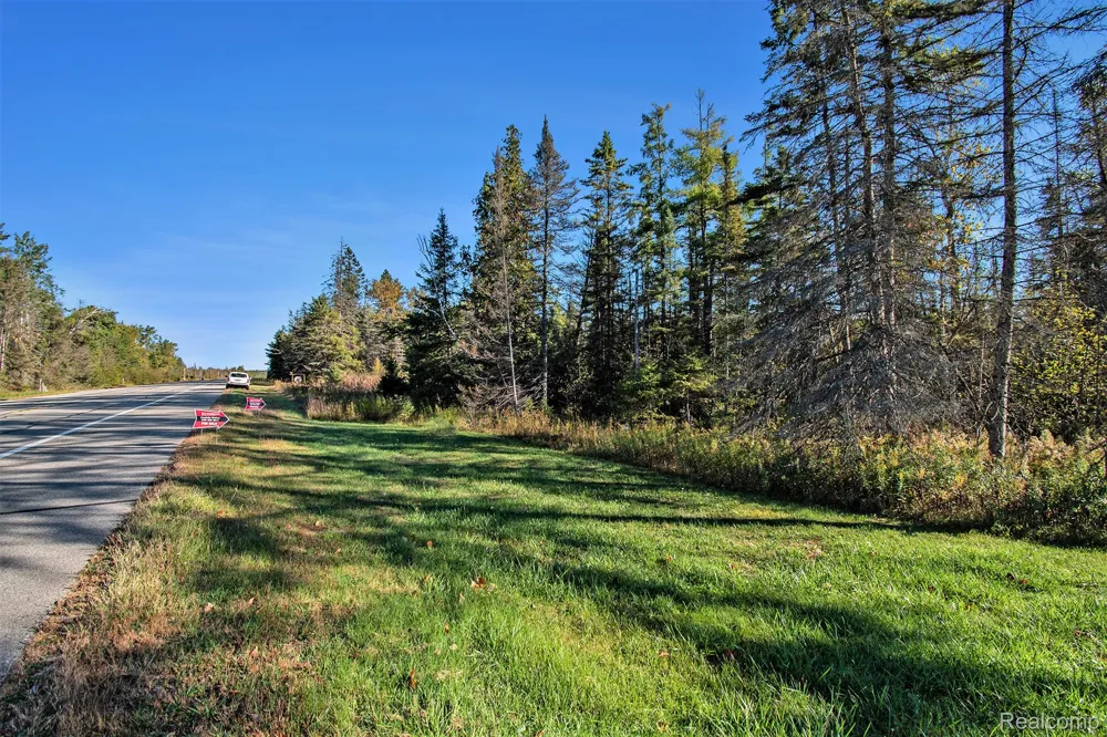 9191 M 33 Avery Township, MI 49709