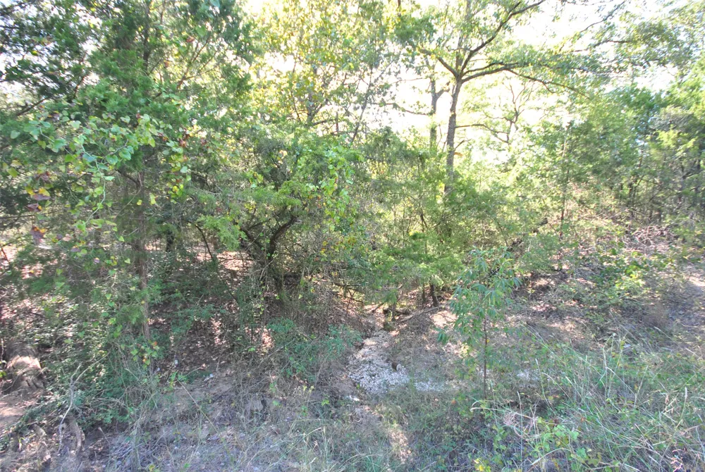 77 LCR 894 Jewett, TX 75846
