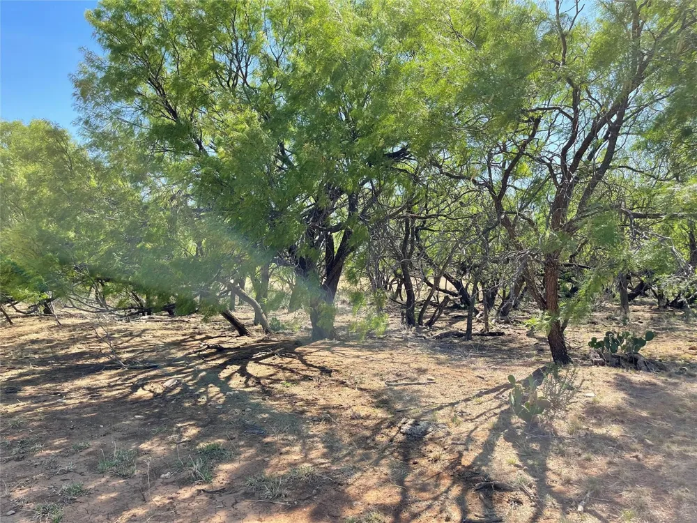 County Road 346 #218ac Gouldbusk, TX 76845