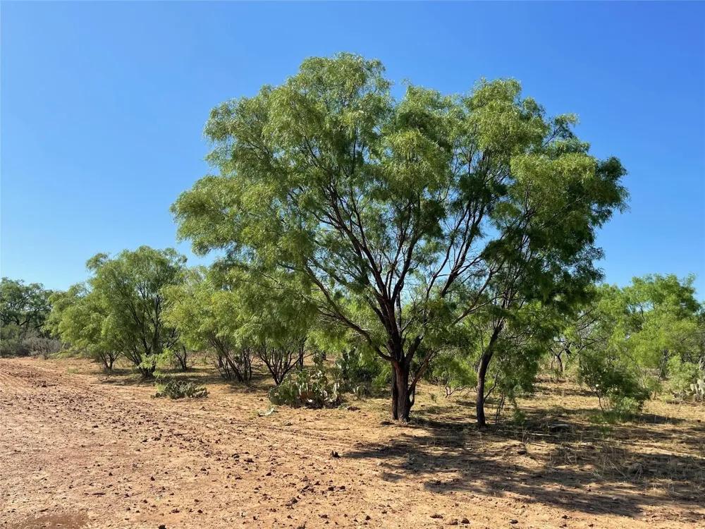 County Road 346 #218ac Gouldbusk, TX 76845