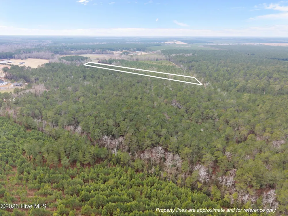 1363 Deppe Loop Road Maysville, NC 28555