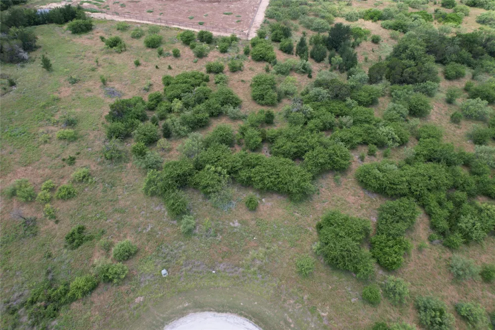 1393 Indigo Bush Court Possum Kingdom Lake, TX 76449