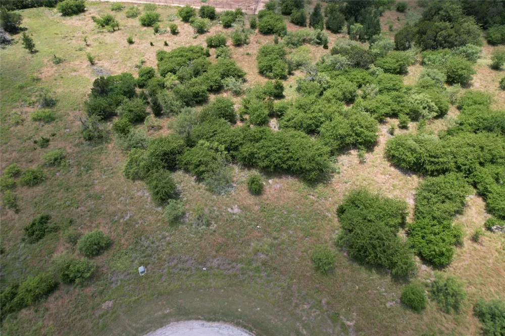 1393 Indigo Bush Court Possum Kingdom Lake, TX 76449