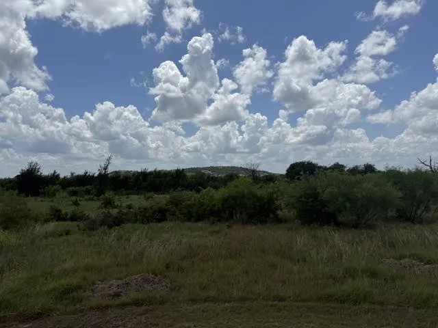 1393 Indigo Bush Court Possum Kingdom Lake, TX 76449