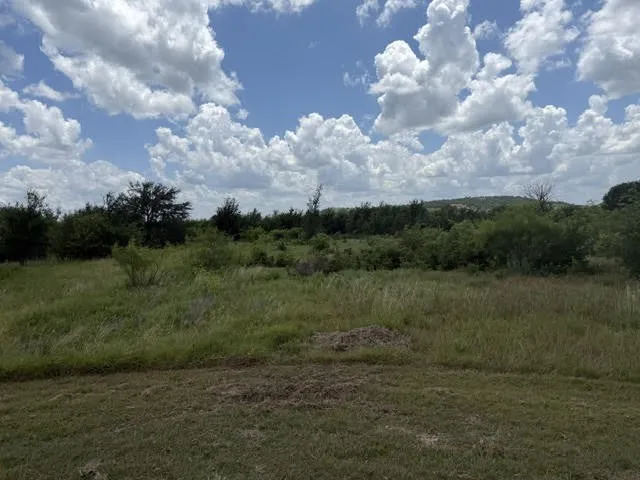 1393 Indigo Bush Court Possum Kingdom Lake, TX 76449