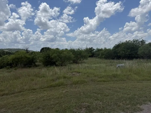 1393 Indigo Bush Court Possum Kingdom Lake, TX 76449