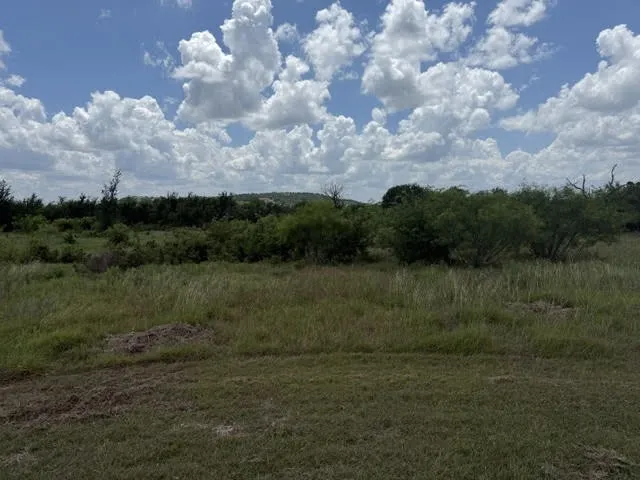 1393 Indigo Bush Court Possum Kingdom Lake, TX 76449
