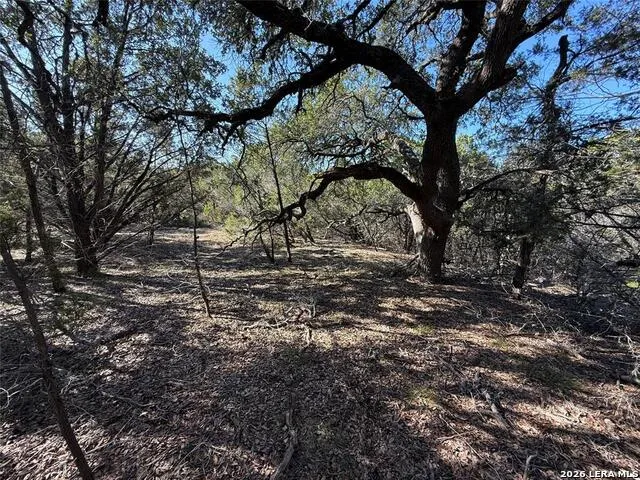 105 S Park RD Wimberley, TX 78676