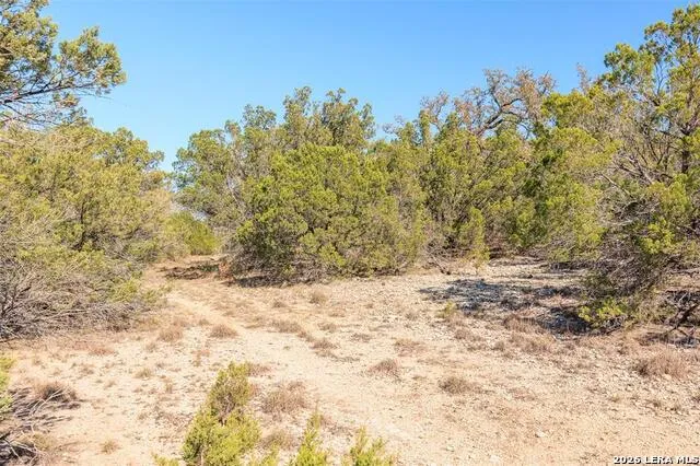 105 S Park RD Wimberley, TX 78676