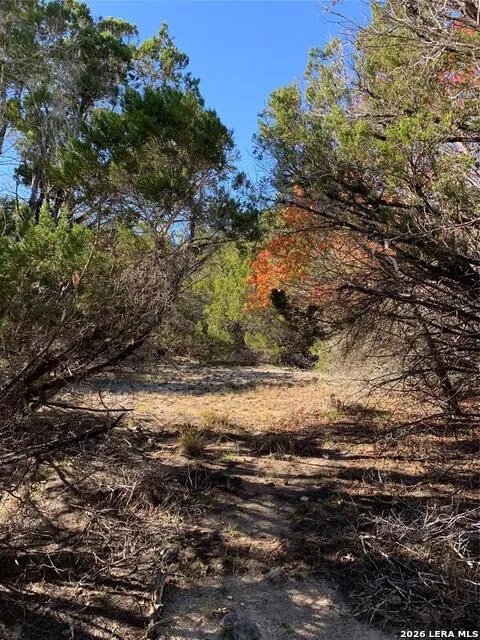 105 S Park RD Wimberley, TX 78676