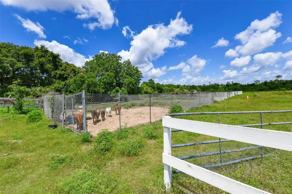5750 OAK HOLLOW LANE Oviedo, FL 32765