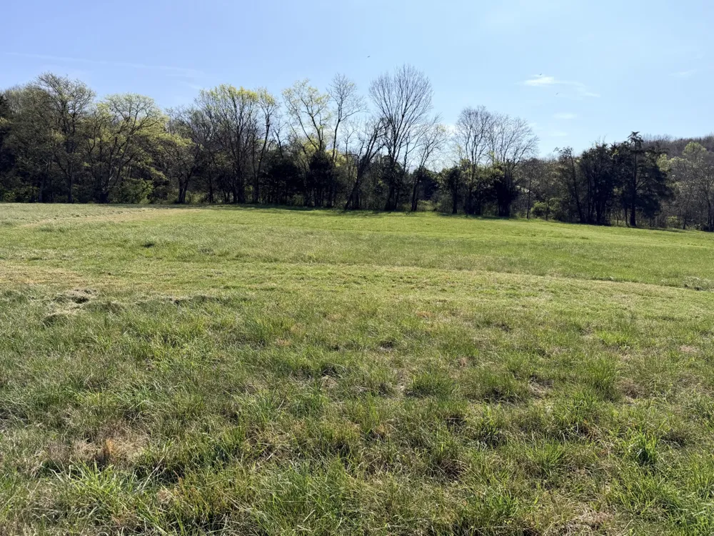 0 Ben Green Rd Lebanon, TN 37090