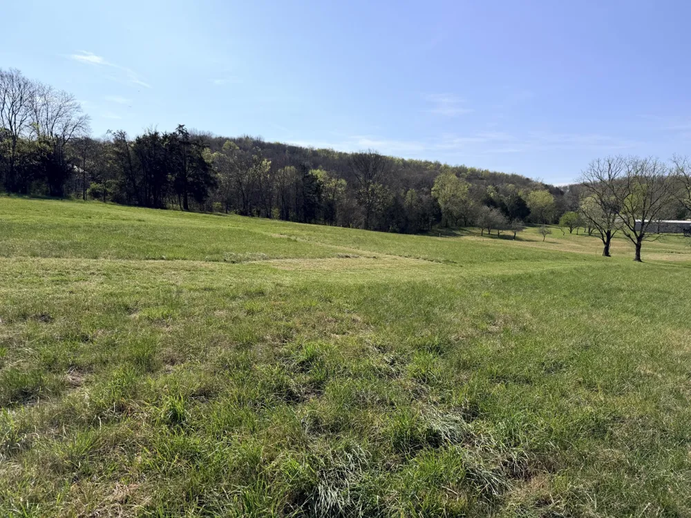 0 Ben Green Rd Lebanon, TN 37090