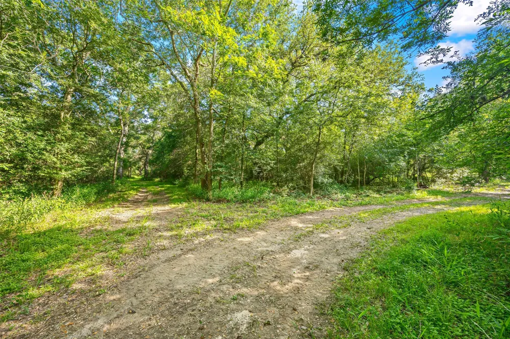 5523 Ehrman Lake Lane Wallis, TX 77485