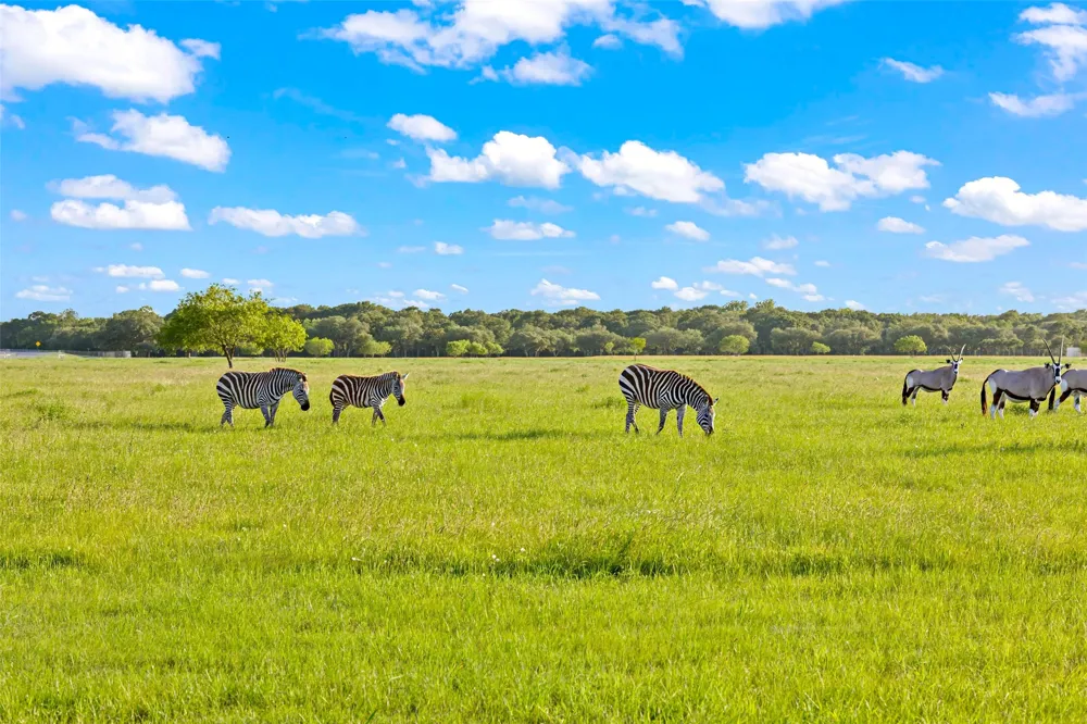 5523 Ehrman Lake Lane Wallis, TX 77485