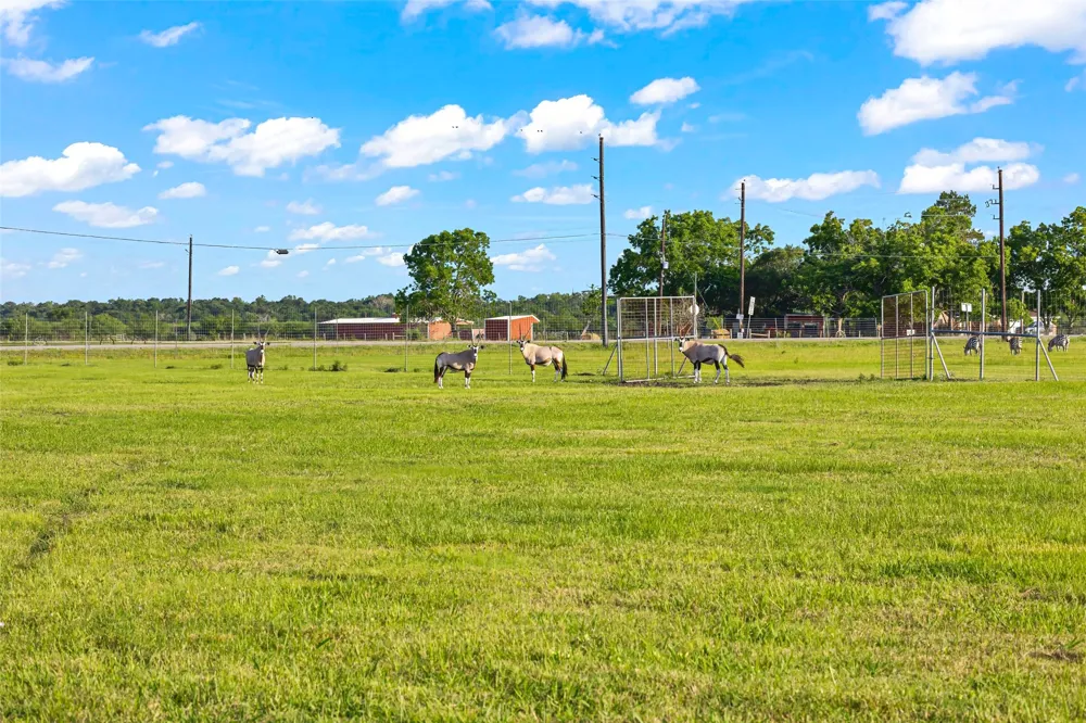 5523 Ehrman Lake Lane Wallis, TX 77485