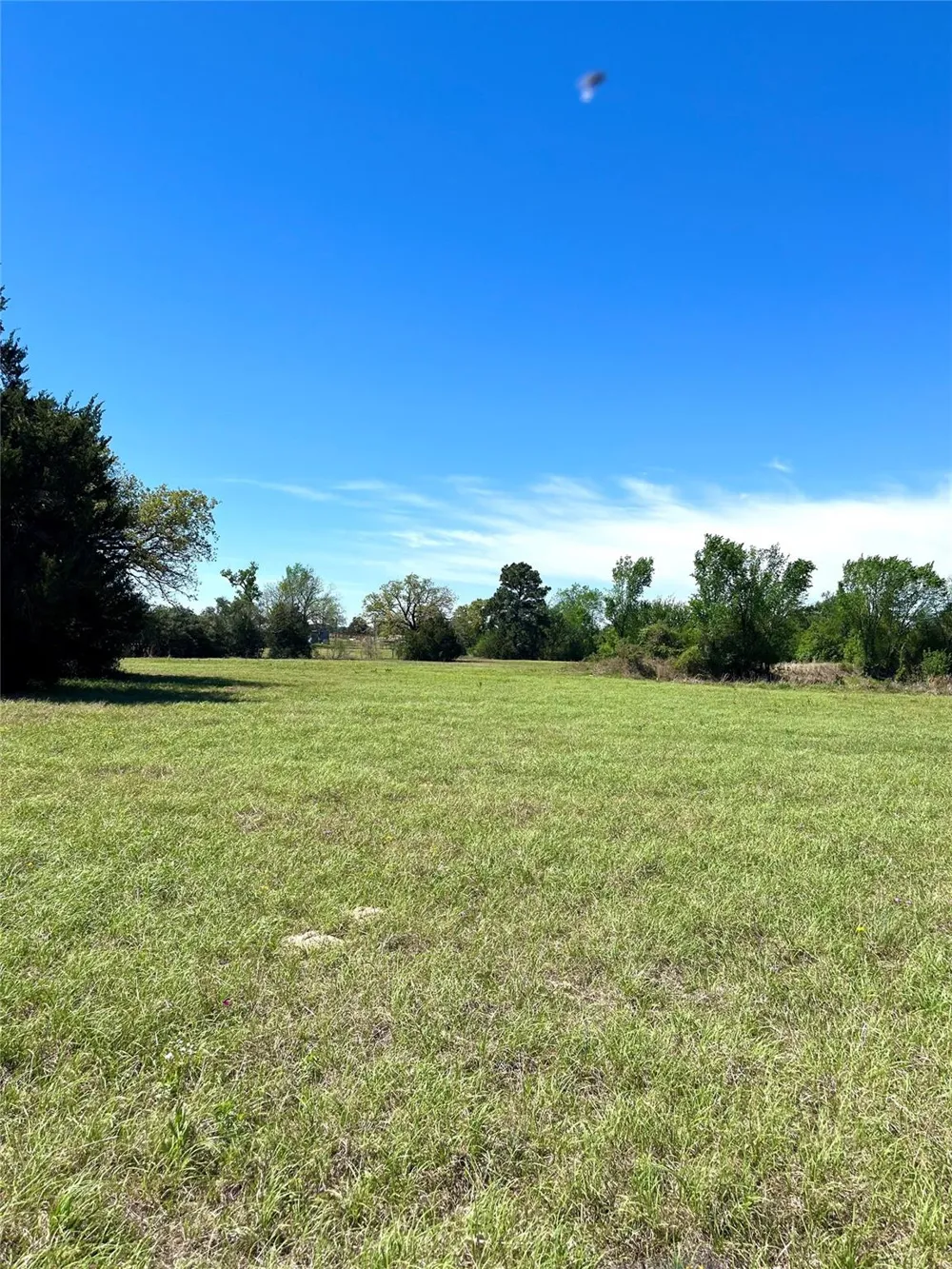 2654 County Road 329 Lincoln, TX 78948