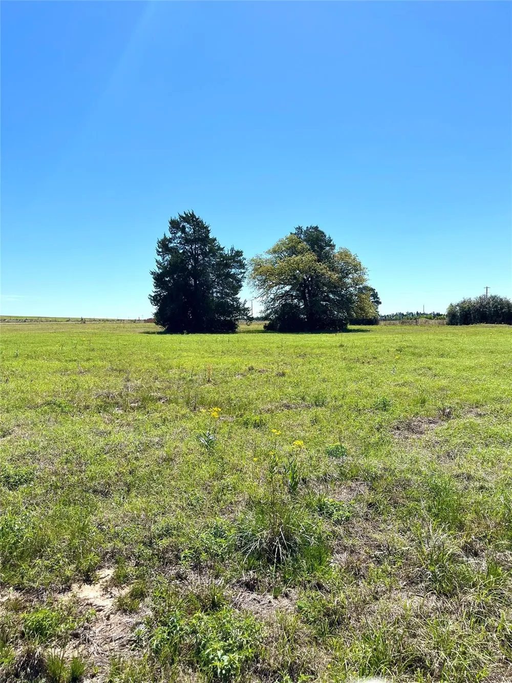 2654 County Road 329 Lincoln, TX 78948