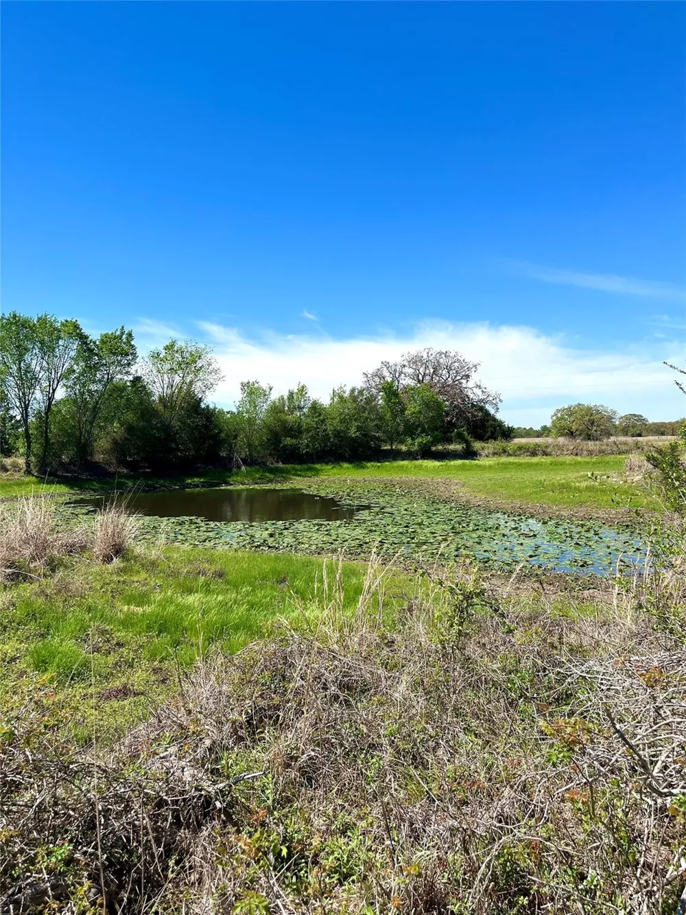 2654 County Road 329 Lincoln, TX 78948